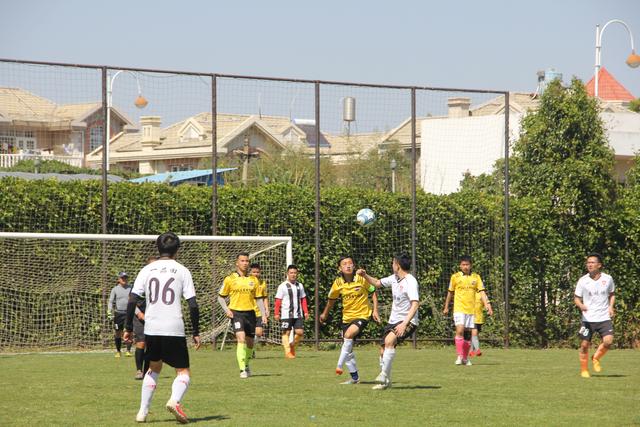 库里27分哈特三双 勇士负尼克斯跌回西部第十