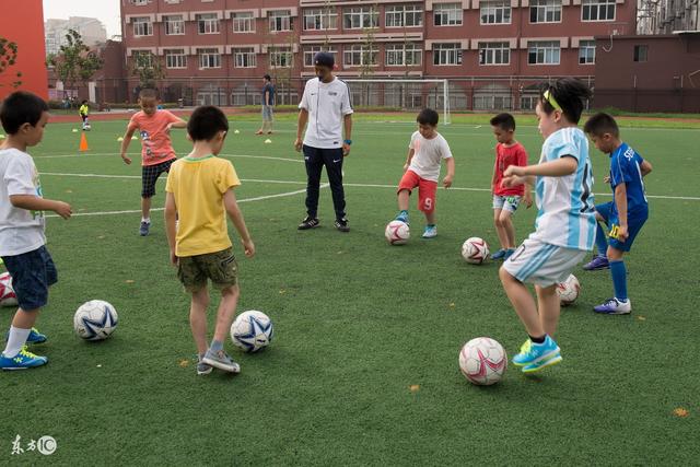 郑薇：朝鲜主力中锋缺阵 我们临时打小球战术
